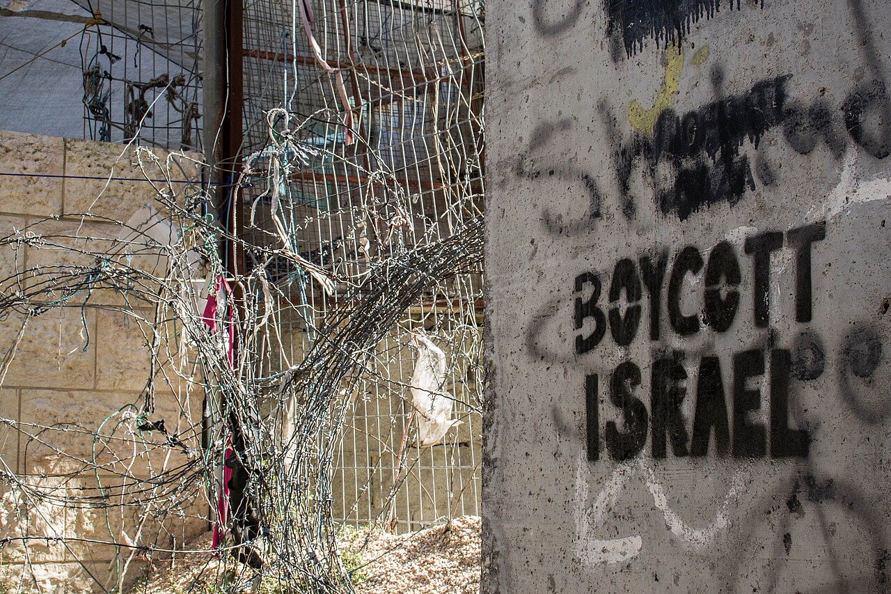 Geschiedenis van BDS